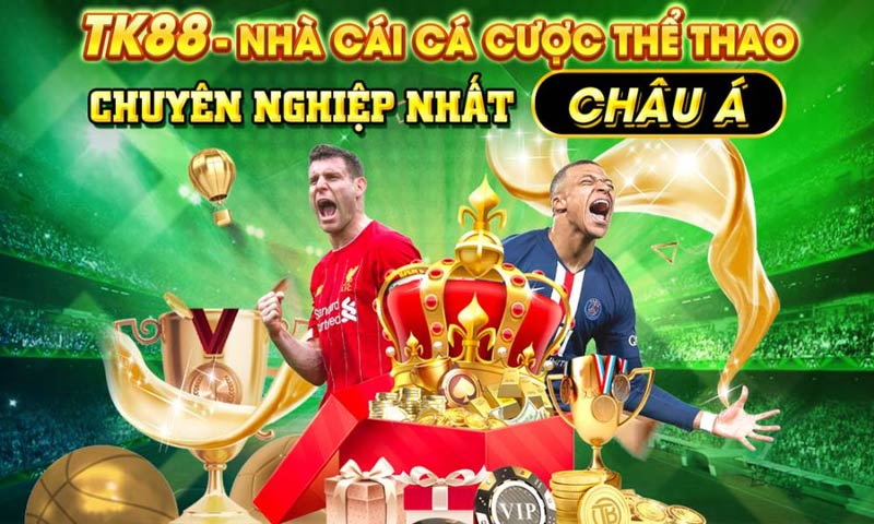CEO TK88 - Nhà cái cá cược thể thao được yêu thích hàng đầu Việt Nam